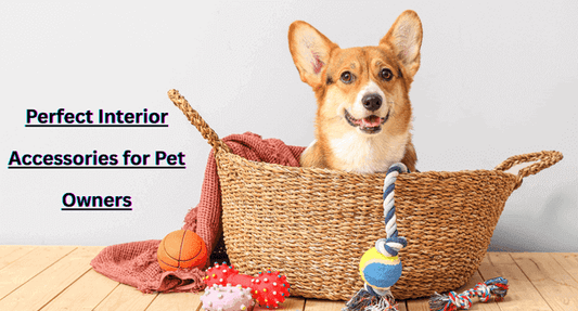 Perfect Interior Accessories for Pet Owners - Autoxmatch