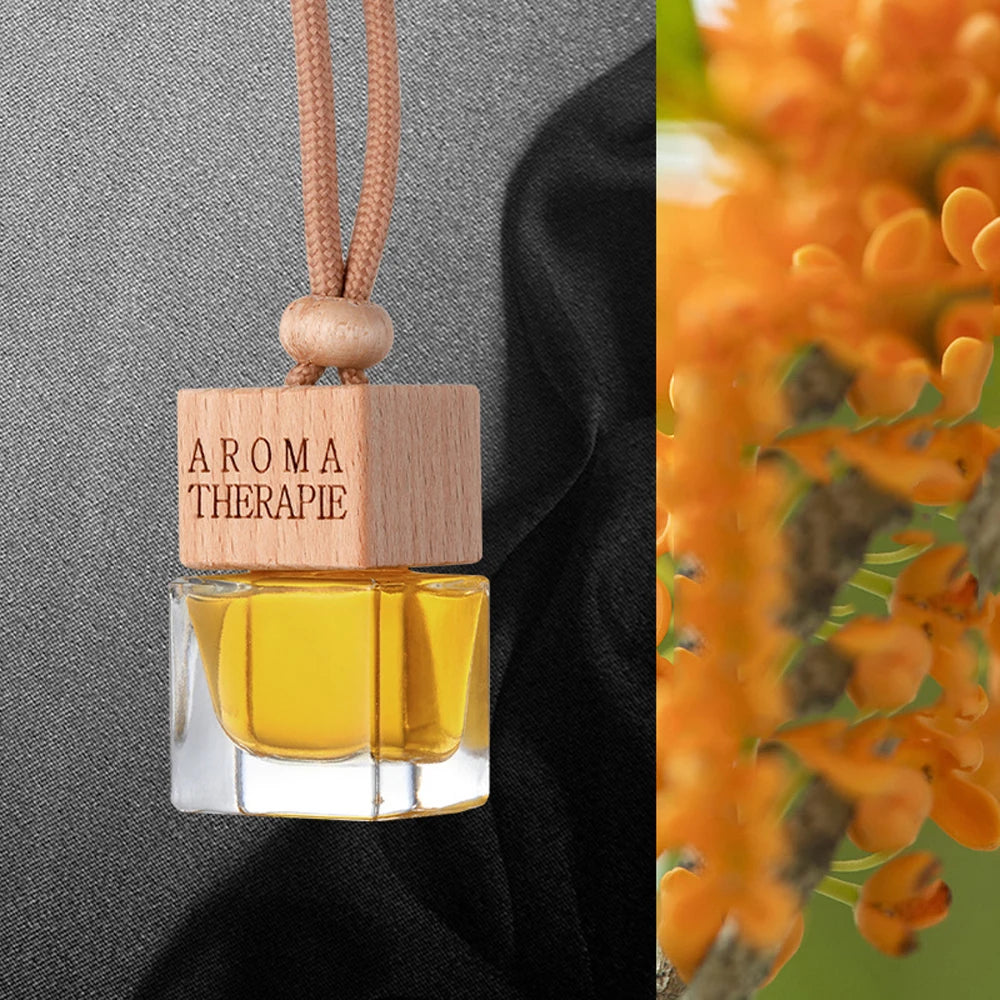 Car Fragrance Pendant Perfume Oil Diffuser Air Freshener - Autoxmatch