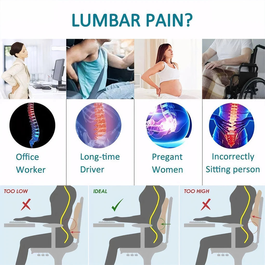 Diagram showing different causes of lumbar pain and correct sitting posture.